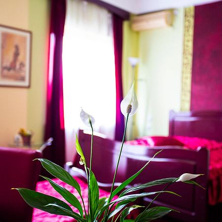 B&B Vila Tamaris Заечар Экстерьер фото