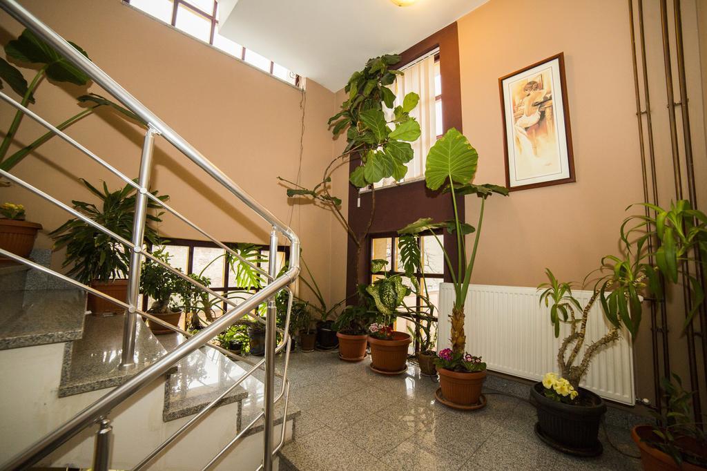 B&B Vila Tamaris Заечар Экстерьер фото