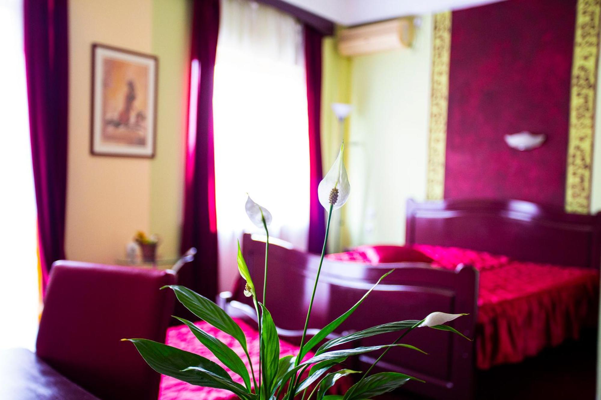 B&B Vila Tamaris Заечар Экстерьер фото